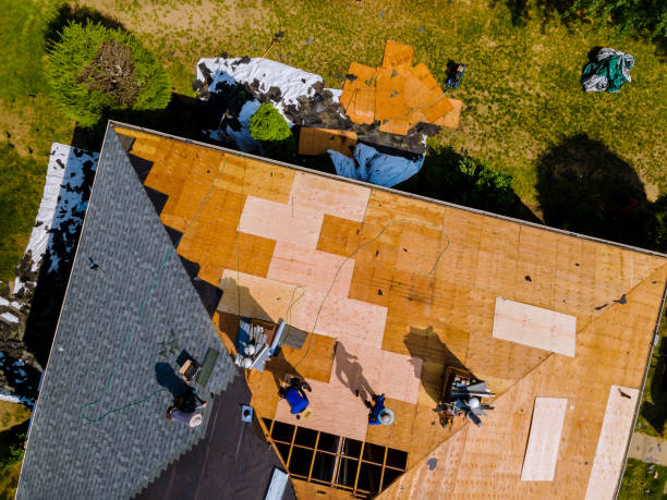 Best Roof Gutter Cleaning  in Brownfield, TX